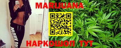 прущие грибы Обнинск