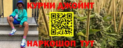 прущие грибы Обнинск