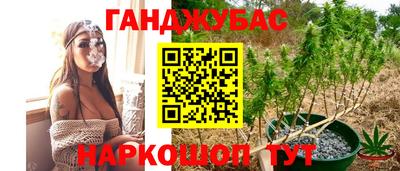 прущие грибы Обнинск