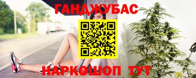 прущие грибы Обнинск