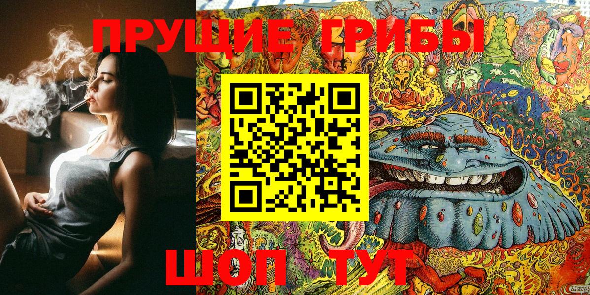 Псилоцибиновые грибы Psilocybe  Вход с VPN  Псилоцибиновые грибы Psilocybine cubensis  Шелехов 
