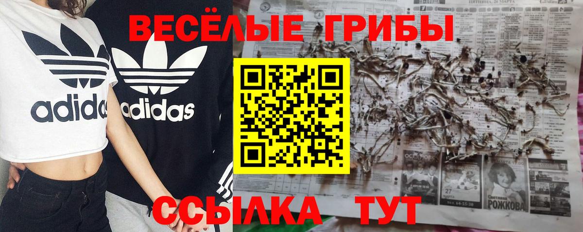 Псилоцибиновые грибы MAGIC MUSHROOMS Шелехов